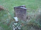 image of grave number 355776